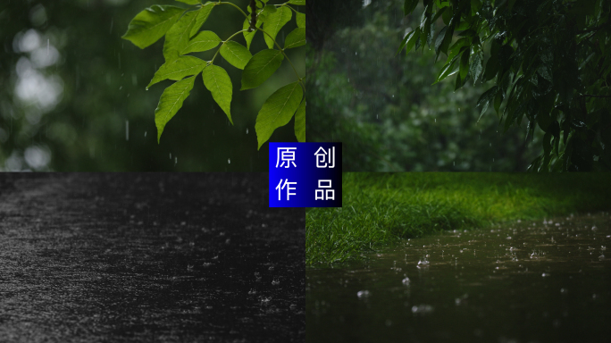 4K 宁静唯美雨景下雨升格空镜头