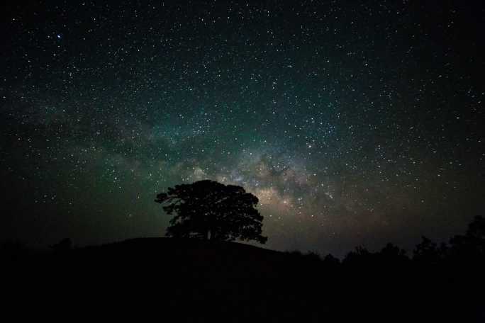 云南东川红土地大树银河星空延时下大树