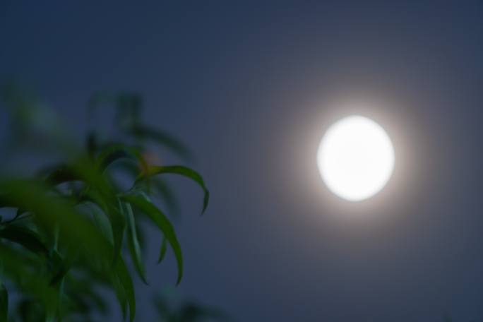 月亮延时8K夜晚星空意境实拍