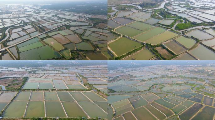 海南儋州新英镇水产养殖基地