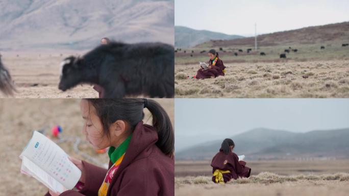 藏区藏族贫困山区留守儿童小女孩读书