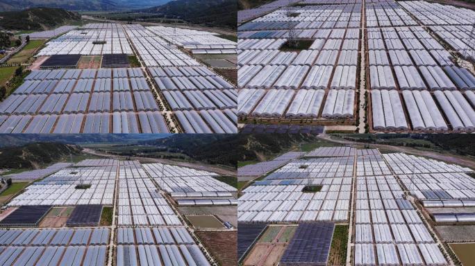 四川凉山现代农业航拍