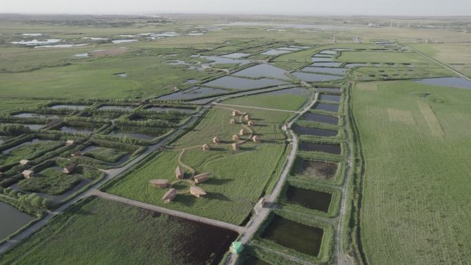 湿地航拍建筑绿色特色西北酒泉六分