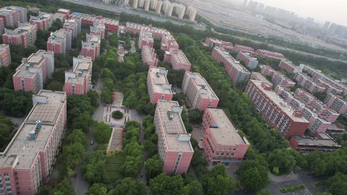 郑州大学生活区柳园 4K