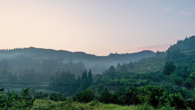 农村清晨幽静的山林丨延时摄影