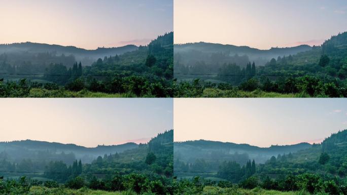农村清晨幽静的山林丨延时摄影