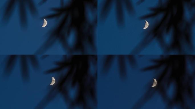 夜晚月牙落下丨4K丨延时摄影