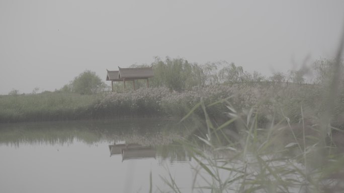 湿地建筑绿色特色西北酒泉六分