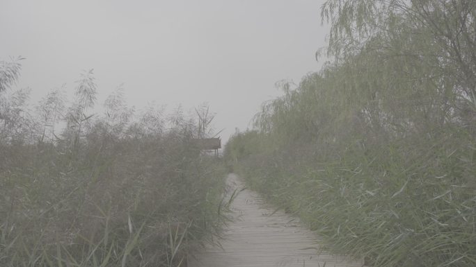 湿地建筑绿色特色西北酒泉六分