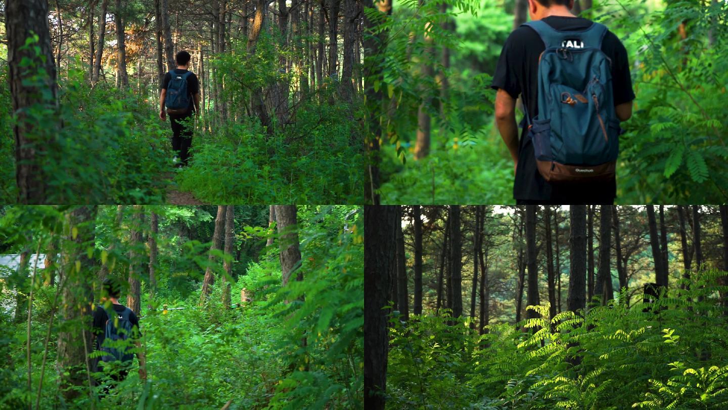 学生背着包在树林山里行走