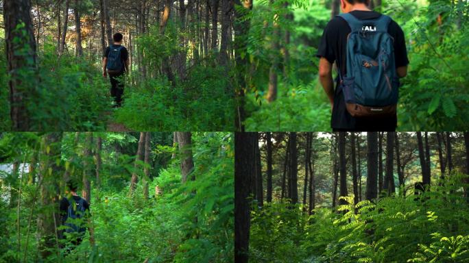 学生背着包在树林山里行走