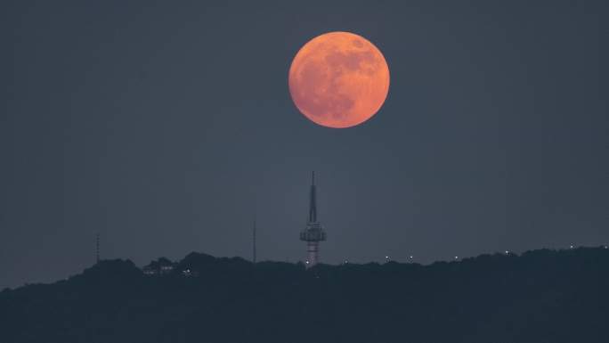 长沙岳麓山电视塔悬月8k