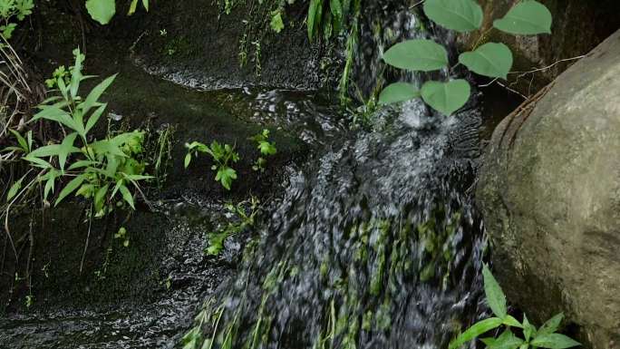 小溪水流