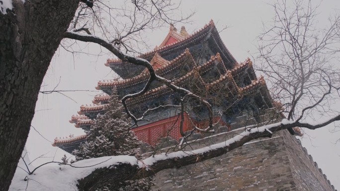 北京故宫紫禁城下雪雪景