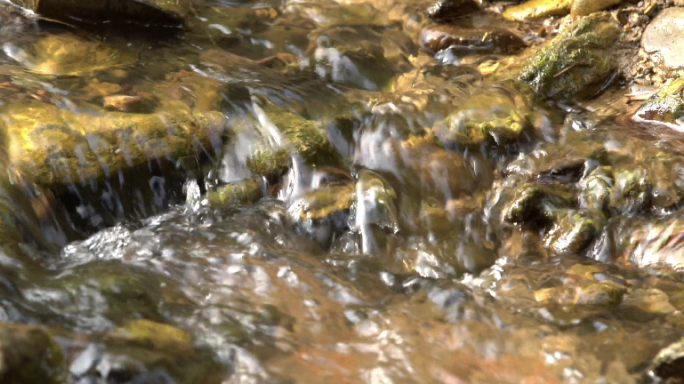 泉水 自然溪流 山泉水 升格水流