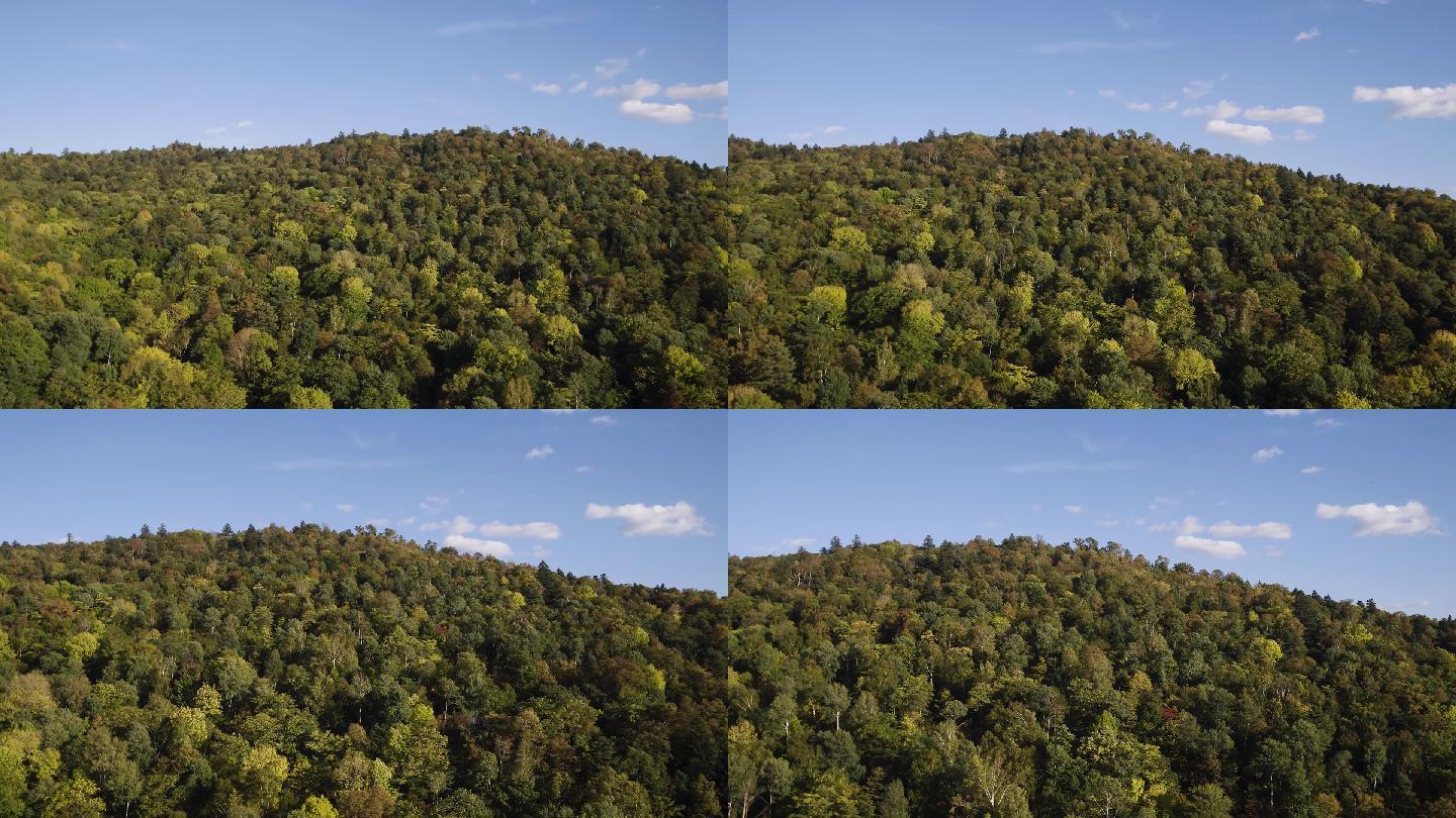 长白山 航拍 森林 高山 阳光