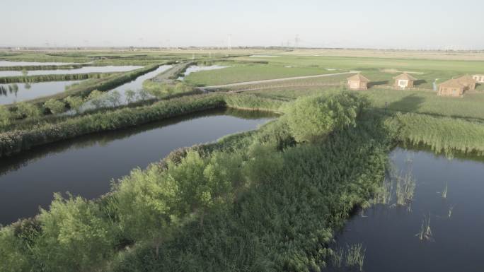 湿地航拍建筑绿色特色西北酒泉六分