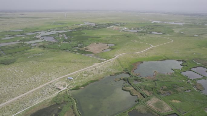 湿地航拍建筑绿色特色西北酒泉六分