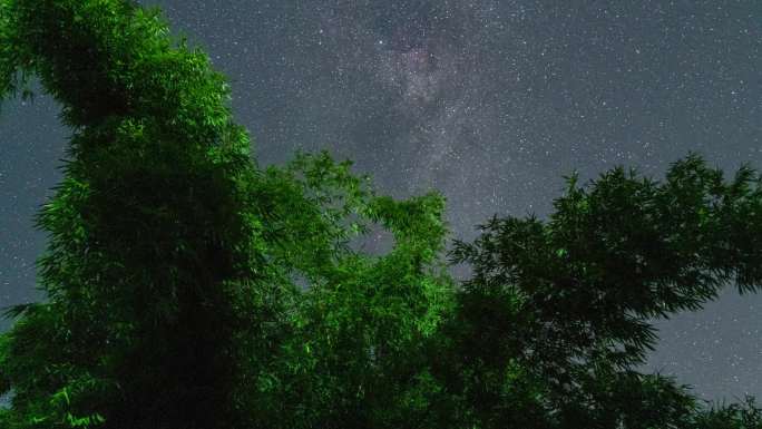 夜晚竹林星空延时摄影