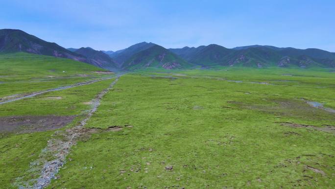 高原、草原、地表环境