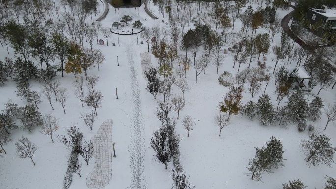 公园 雪景 廊坊丹凤公园