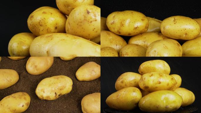 土豆  马铃薯 土豆特写 土豆实拍