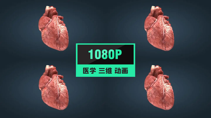 三维心脏跳动心脏疾病病变动画09