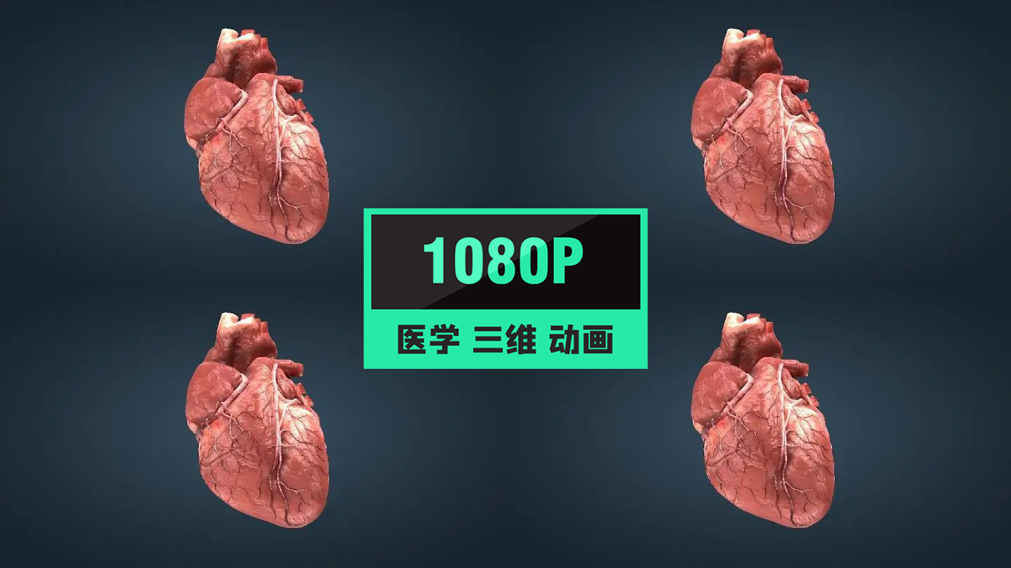 三维心脏跳动心脏疾病病变动画09