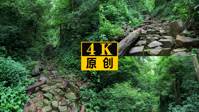 航拍山间小路山林小道