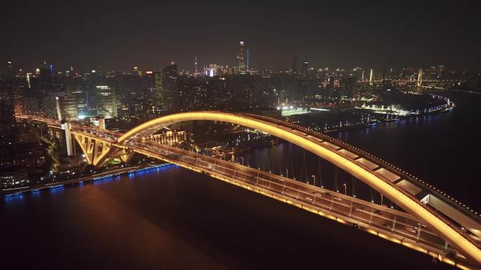 上海卢浦大桥夜景