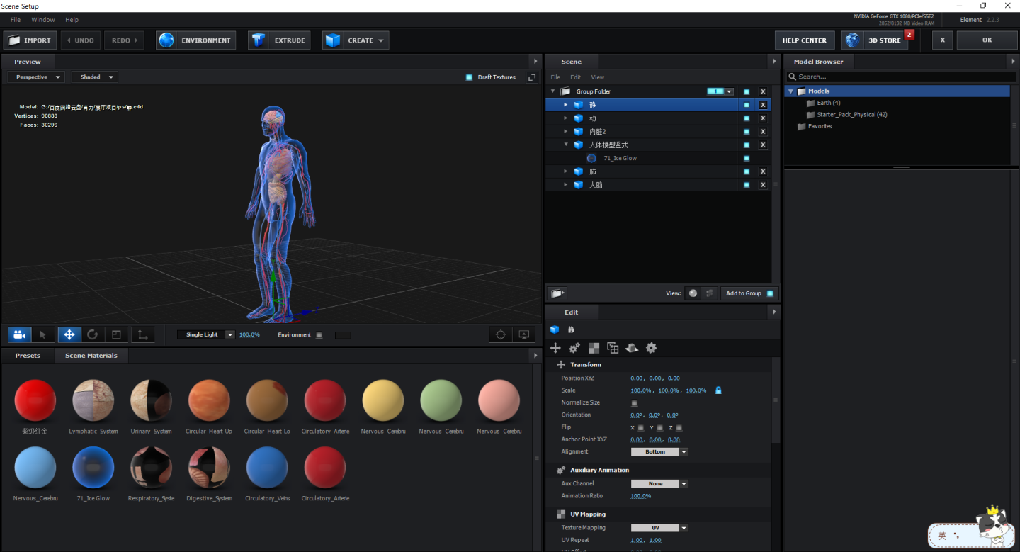 3D人体扫描 4K人体展示 医疗人物展示