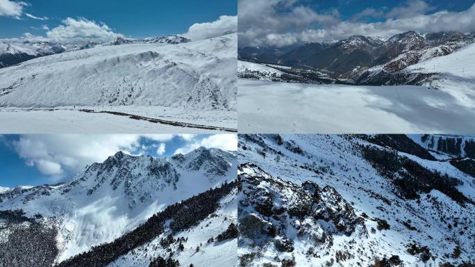 初春白马雪山