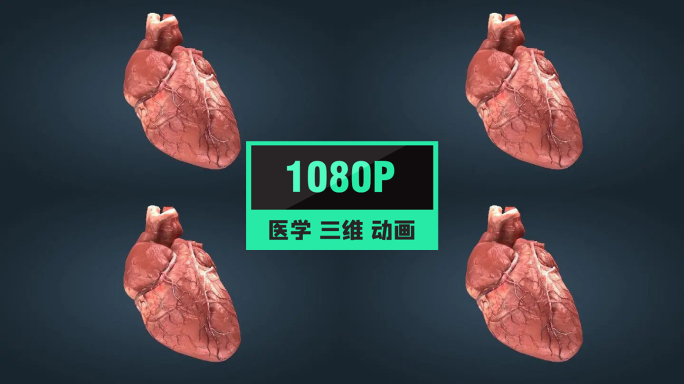 人体重要器官心脏跳动三维动画03