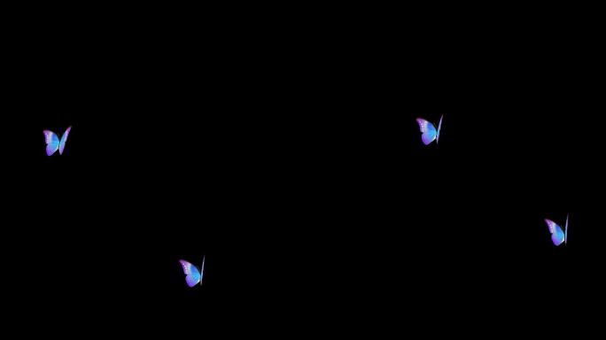 夜空中的蝴蝶