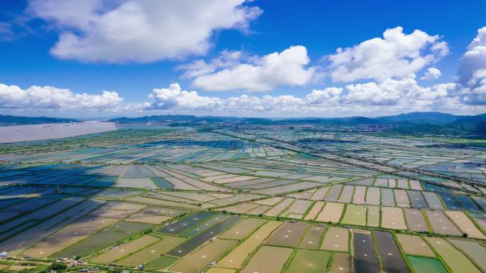 4K珠海金湾平沙渔业鱼塘蓝天航拍延时