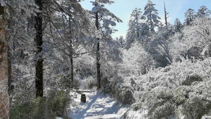 四川洪雅瓦屋山冰雪风光，瓦屋山云海雪景