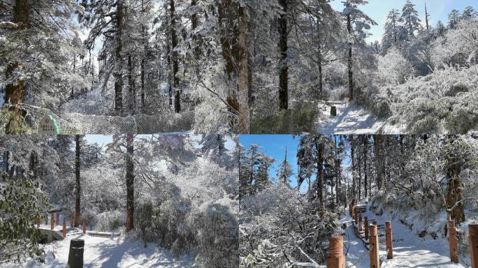 四川洪雅瓦屋山冰雪风光，瓦屋山云海雪景