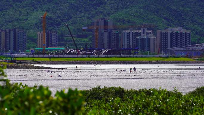 深圳坝光白沙湾夏日午后海水退潮赶海1/4