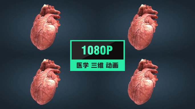 三维心脏跳动动画人体器官医学生物学01