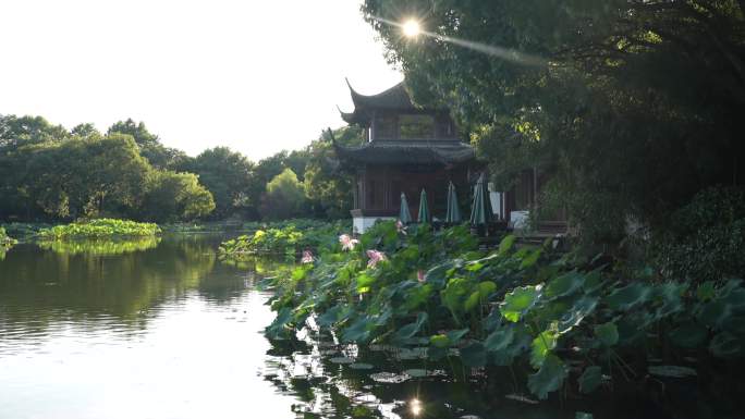 西湖夏天光影