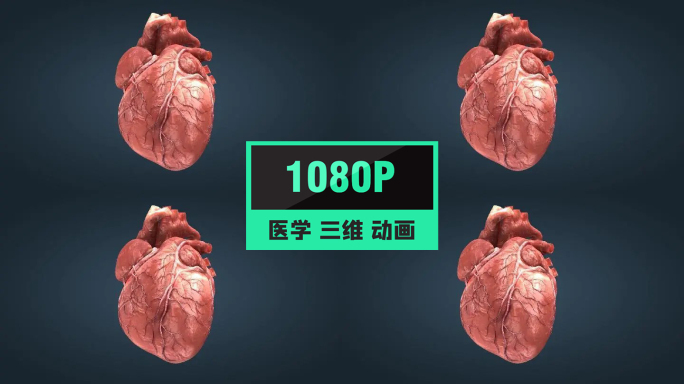 医疗医院科普宣传心脏跳动人体器官12