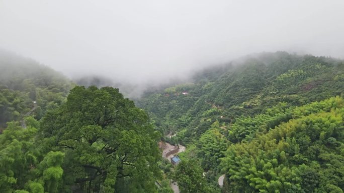 雨中航拍山景