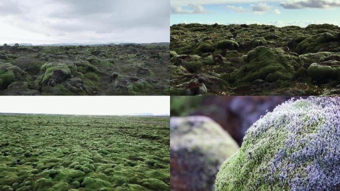 冰岛极地苔原地貌景观自然风光
