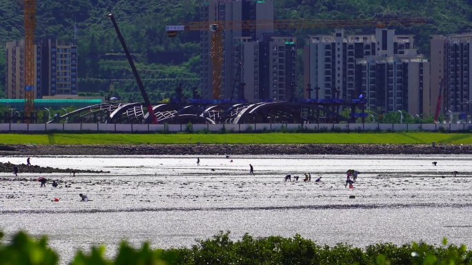 深圳坝光白沙湾夏日午后海水退潮赶海2/4