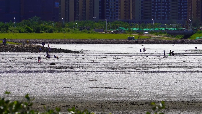 深圳坝光白沙湾夏日午后海水退潮赶海4/4