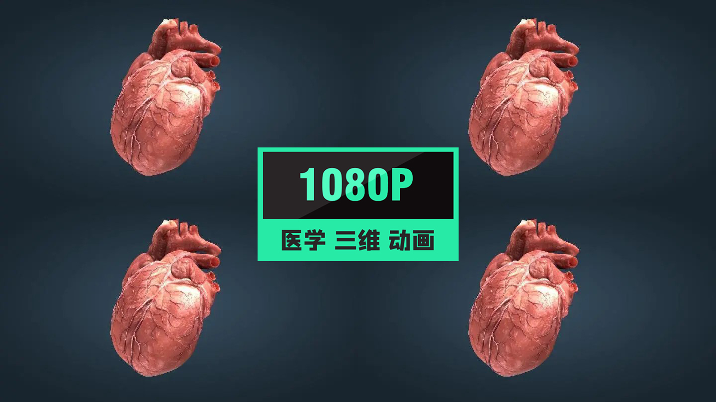 三维医学人体心脏模型动画特效11