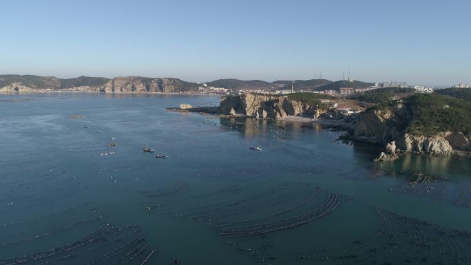 长海县 海参 大连海 海参养殖 大连灰度