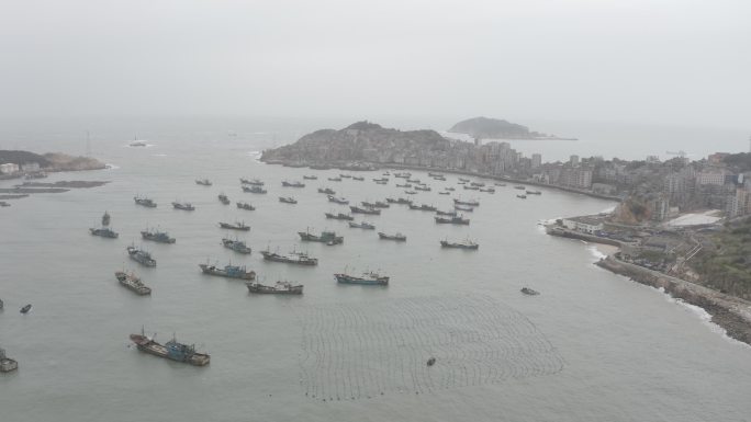 长海县 海参 大连海 海参养殖 大连灰度