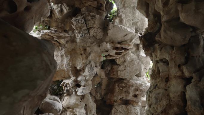 传统园林别墅建筑内园林景观假山假石