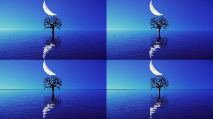 湖面月亮树
